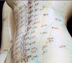 Your fertility clinic Acupuncture Infertility Care in Richmond in Virginia
