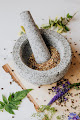 Your fertility clinic Balanced Life Healing Center in Indianapolis in IN