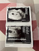 Your fertility clinic Brown Fertility in Winter Garden in Florida