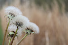 Your fertility clinic Fertile Spring Acupuncture & Reproductive Wellness in Jacksonville in Oregon