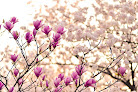 Your fertility clinic Gentle Touch Acupuncture - Fredericksburg in Fredericksburg in Virginia