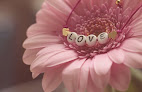 Your fertility clinic Michigan Center For Fertility & Women's Health - Dr. Nicole Budrys in Plymouth in MI