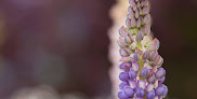 Your fertility clinic New England Center For Endometriosis in Scarborough in Maine