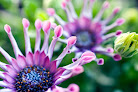 Your fertility clinic Nj Acupuncture Massage & Fertility - The Wellness Place in Verona in NJ