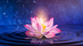 Your fertility clinic Sacred Lotus Acupuncture & Natural Health in Davenport in Iowa