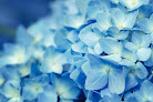 Your fertility clinic Spring Fertility in San Francisco in California