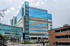 Your fertility clinic The University Of Kansas Physicians Women's Health Specialty in Kansas City in Kansas