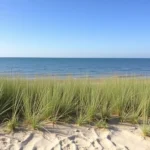 pensacola