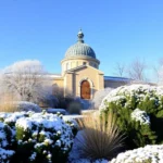 winter-garden